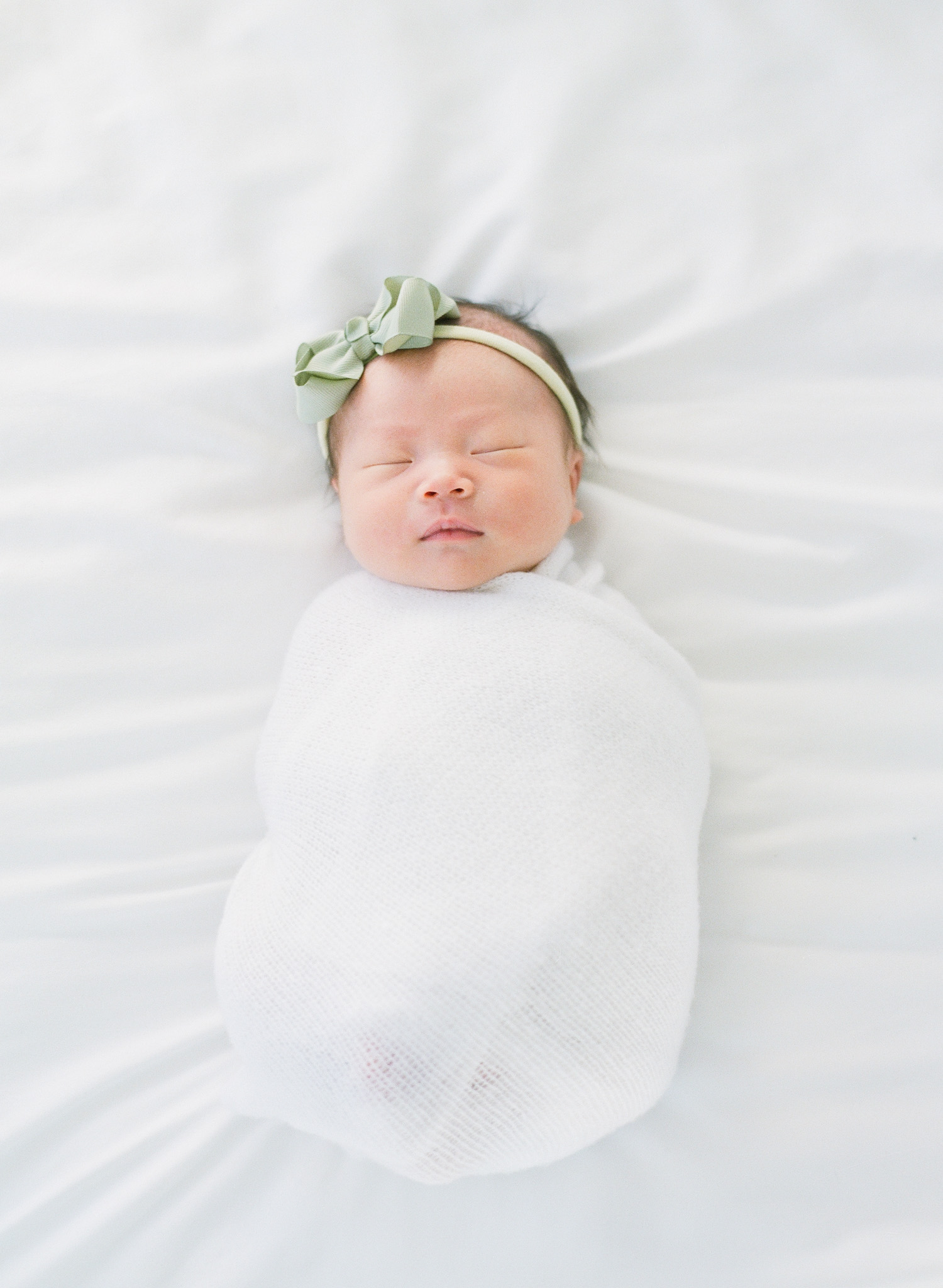 Bay Area Newborn Portraits
