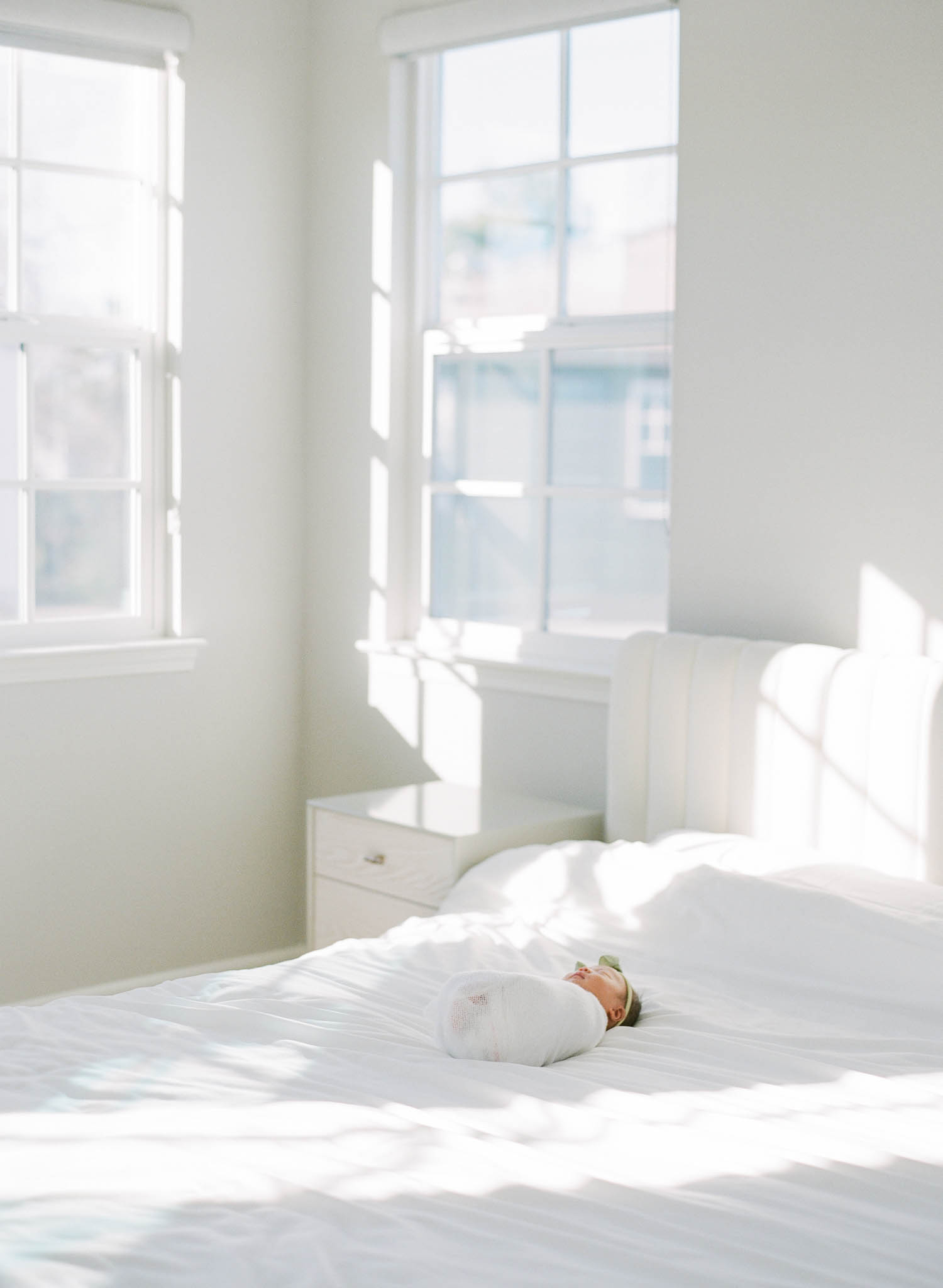 Bay Area Newborn Portraits