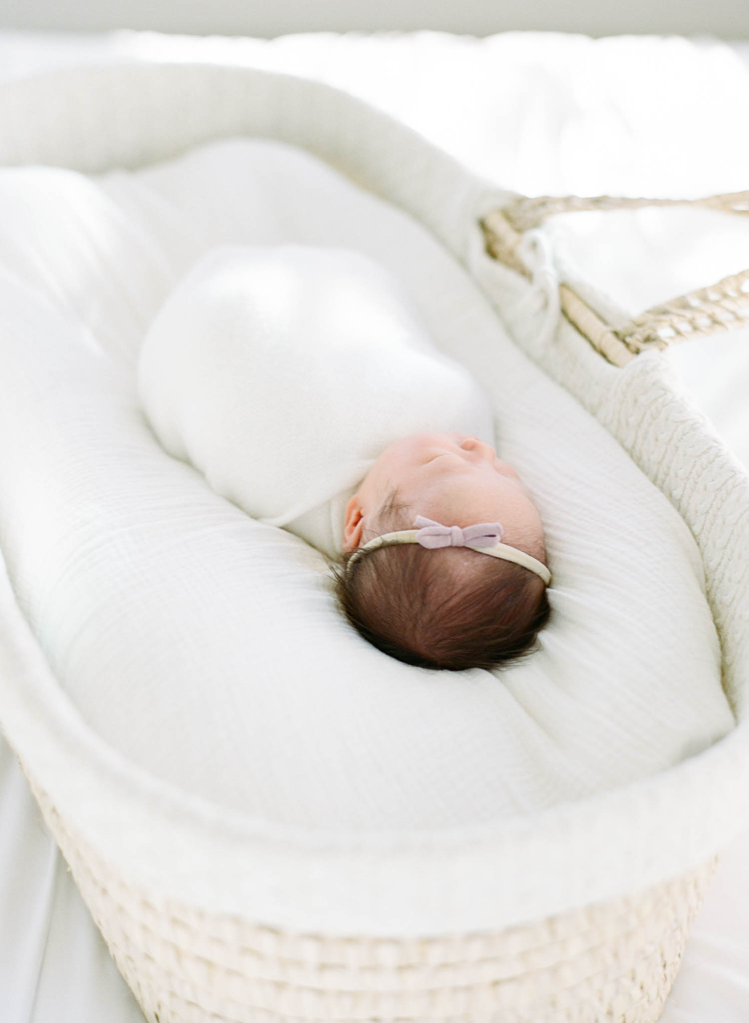Bay Area Newborn Portraits